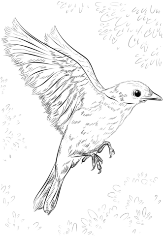 Blue Bird Flying Coloring Page